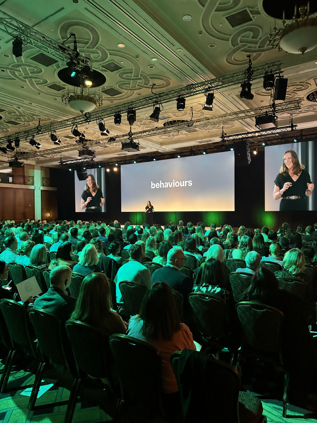 Illustrative composite of Sandra Peat presenting brand behaviour to a conference audience
